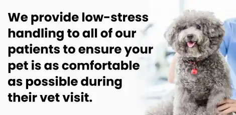 We provide low-stress handling to all of our patients to ensure your pet is as comfortable as possible during their vet visit.
