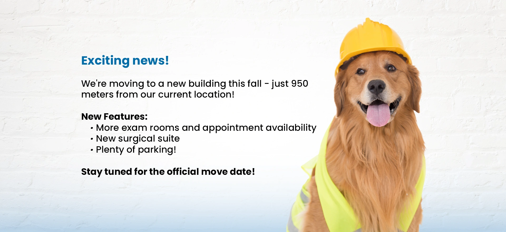 We're moving to a new building this fall - just 950 meters from our current location!