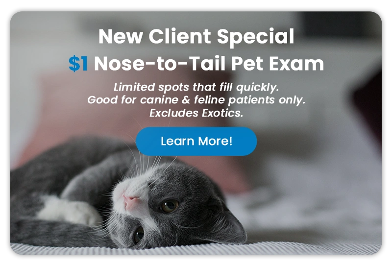 $1 Nose-to-Tail Pet Exam - Learn More!