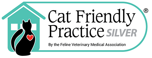 Cat Friendly Practice