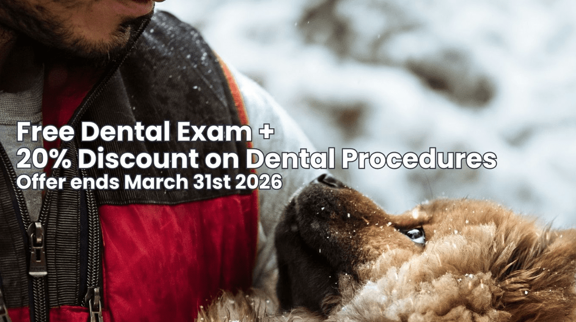 Same Day Appointments Available! Call 905-632-2211