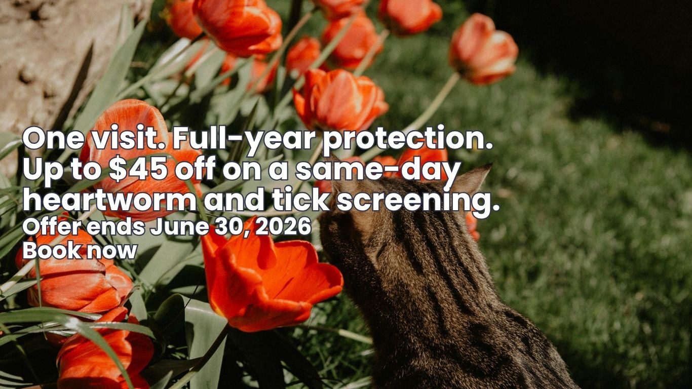 Same Day Appointments Available! Call 905-632-2211